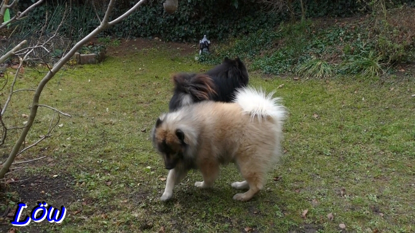 11.12.2025 - Geburtstagspiel